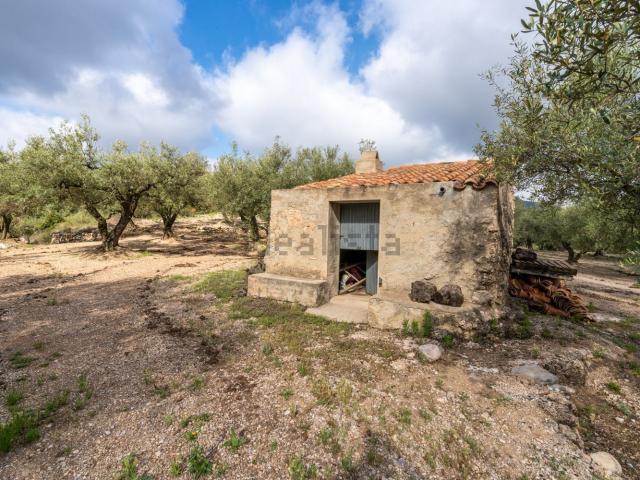 Terreno en venta en Montsià, Catalunya