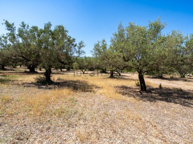 Terreno en venta en Montsià, Catalunya