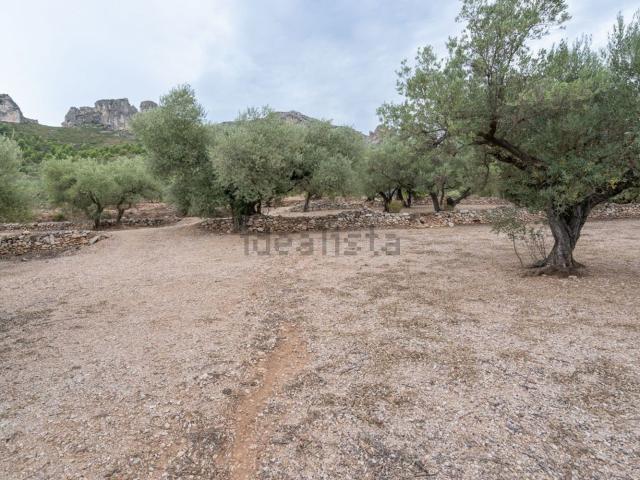 Terreno en venta en Montsià, Catalunya