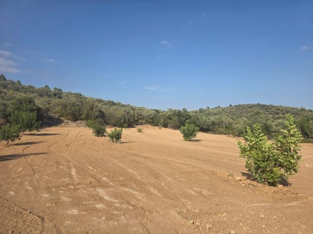Terreno en venta en Montsià, Catalunya