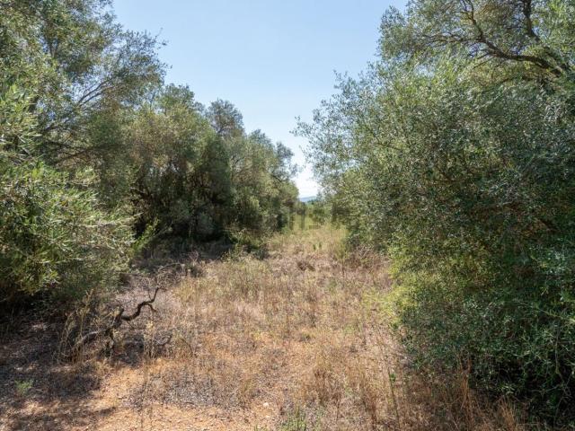 Terreno en venta en Montsià, Catalunya