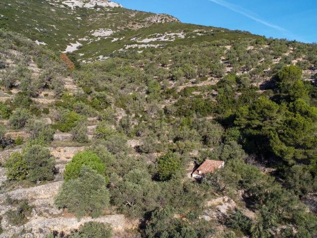 Terreno en venta en Montsià, Catalunya