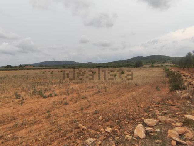 Terreno en venta en Baix Penedès, Catalunya