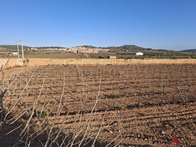 Terreno en venta en Alt Camp, Catalunya