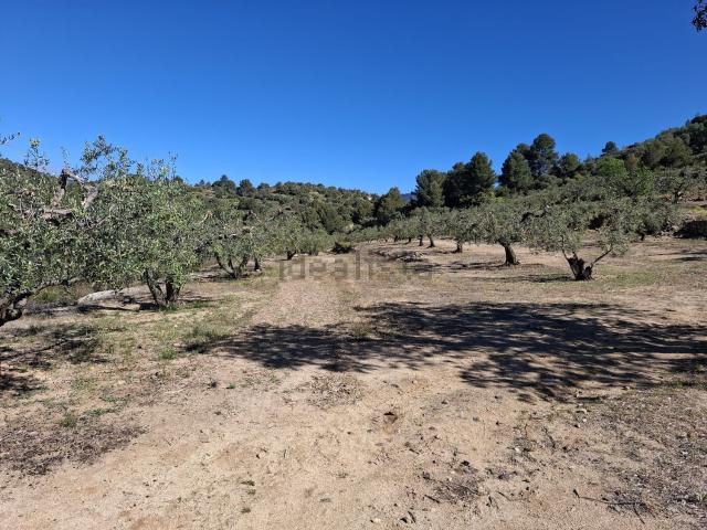 Terreno en venta en Baix Camp, Catalunya