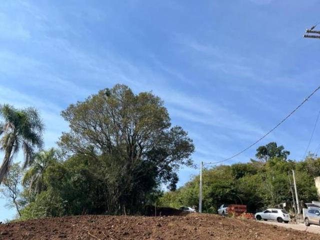 Terreno venda em Região Geográfica Imediata de Caxias do Sul, Feliz