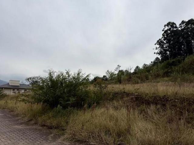 Terreno venda em Pitangas, Osório