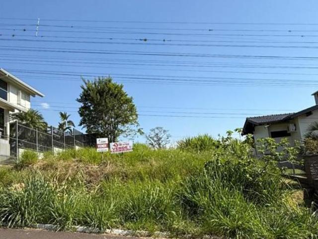 Terreno venda em Feliz