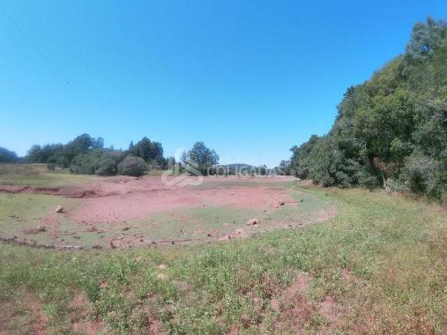 Terreno venda em Passo Fundo