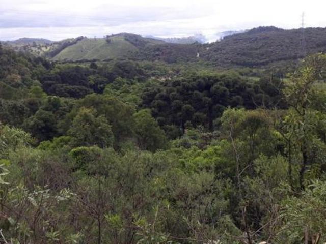 Terreno venda em Região Geográfica Imediata de Curitiba, Região Metropolitana de Curitiba