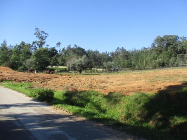 Terreno venda em Montemor-o-velho, Coutada Terreno venda em Montemor-o-velho, Coutada