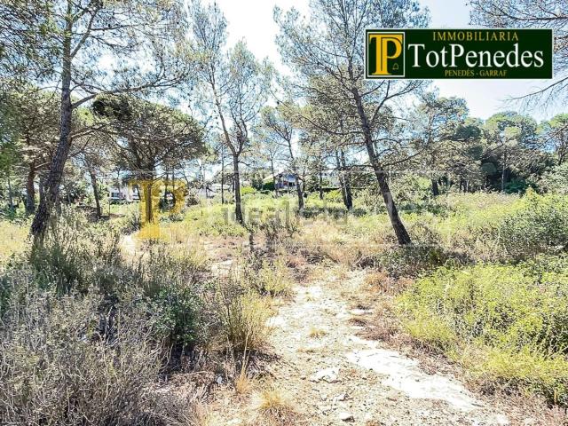 Terreno en venta en Can Paixano, Alt Penedès