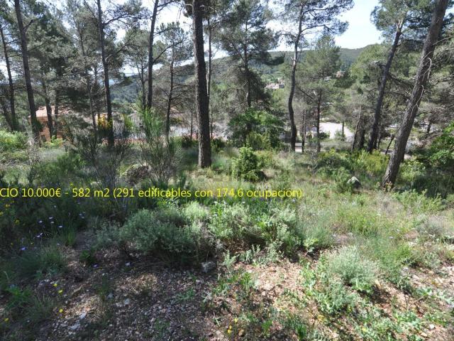 Terreno en venta en Alt Penedès, Catalunya