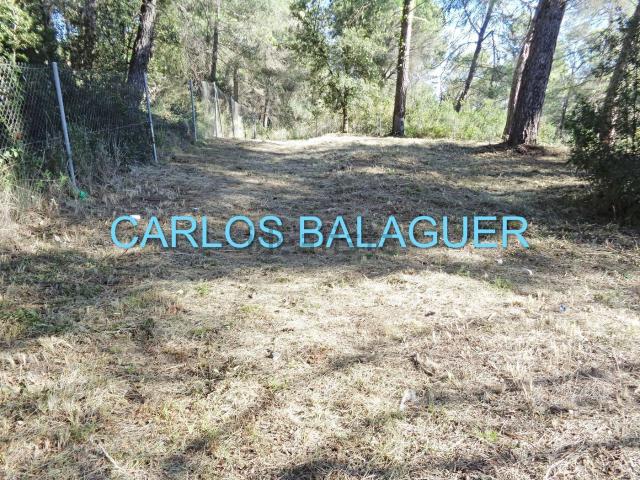 Terreno en venta en Sant Pere Sacarrera, Alt Penedès