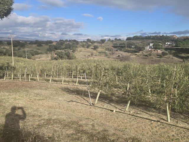 Terreno en venta en Méntrida, Toledo