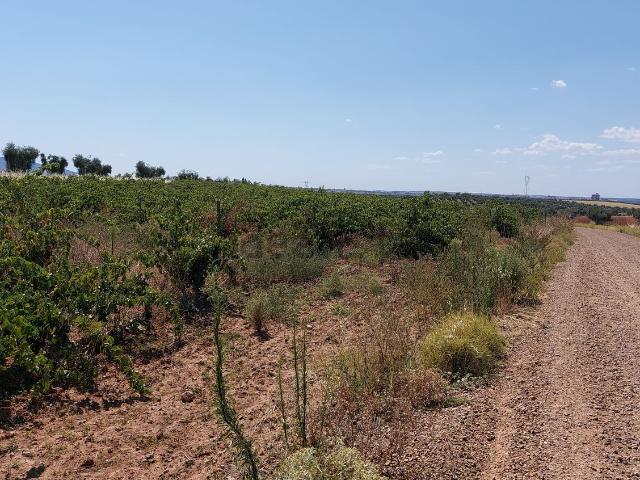 Terreno en venta en Valverde De Mérida, Badajoz
