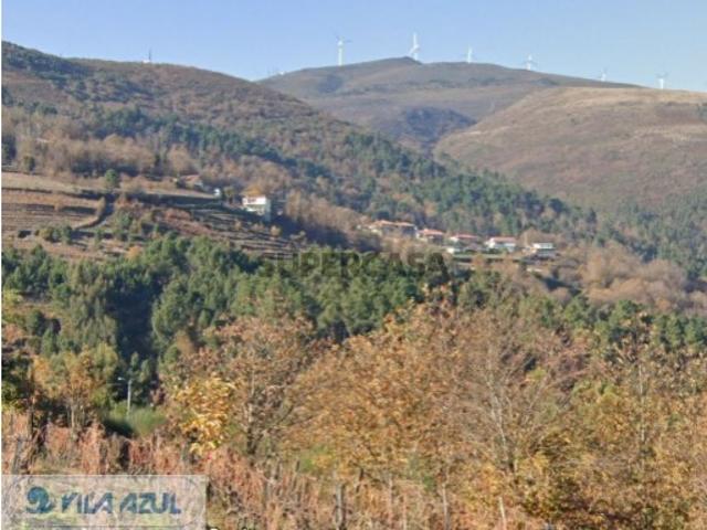 Terreno venda em São Nicolau, Vila Real