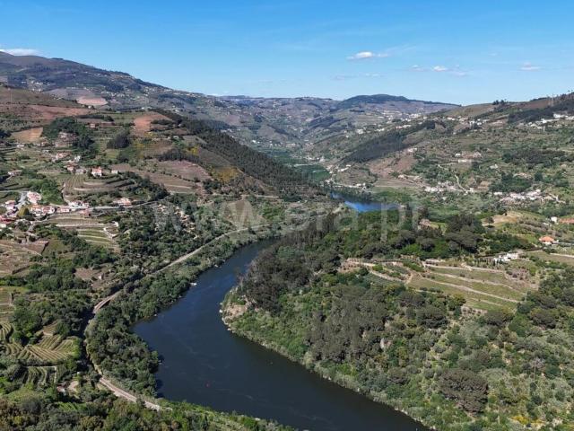 Terreno venda em São Nicolau, Vila Real