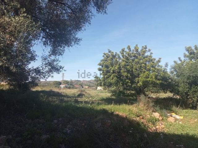 Terreno en venta en Urbanització Tossal Gros, Castelló de la Plana / Castellón de la Plana