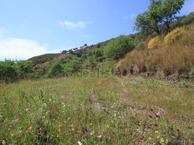 Terreno en venta en Alquería, Costa del Sol Occidental
