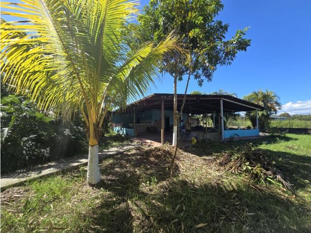 Finca en venta en Valencia, Tocuyito