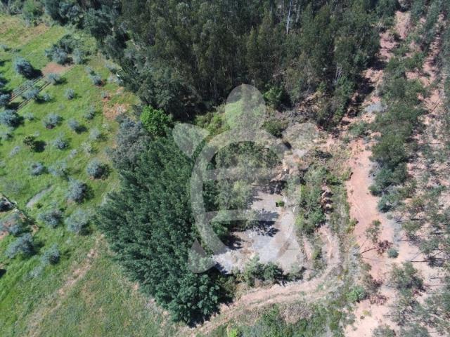 Terreno venda em Miranda Do Corvo, Coimbra