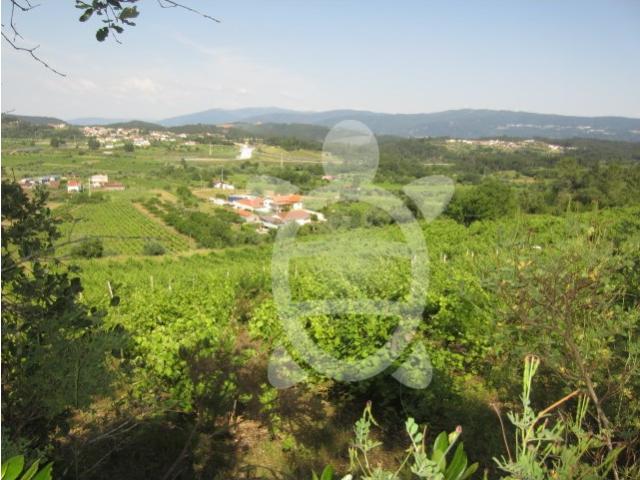 Terreno venda em Miranda Do Corvo, Coimbra