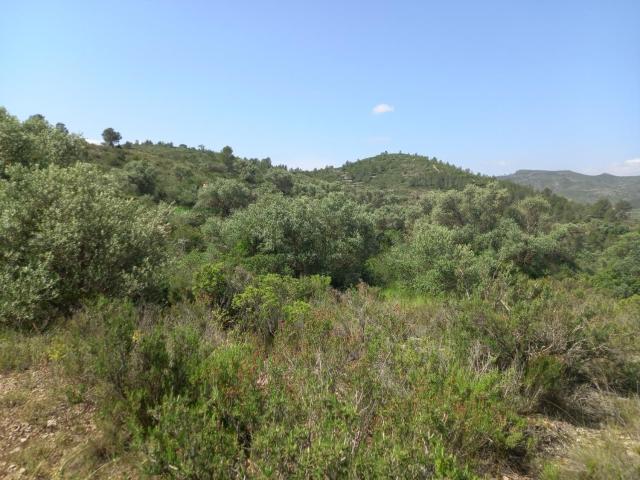 Terreno en venta en Ribera d'Ebre, Catalunya