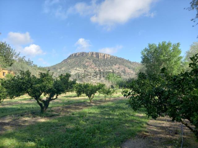 Terreno en venta en Ribera d'Ebre, Catalunya