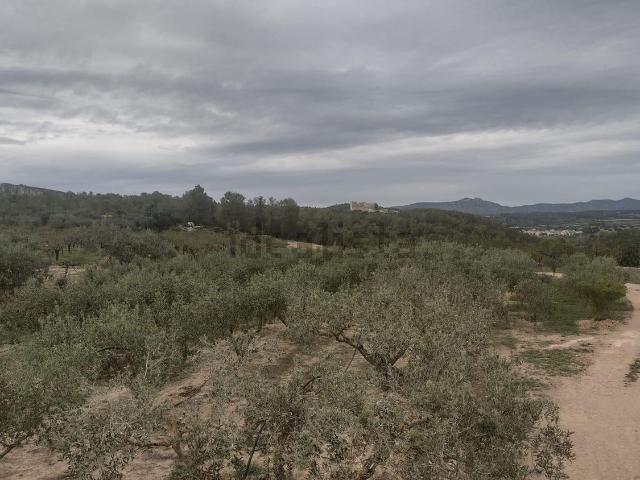 Terreno en venta en Ribera d'Ebre, Catalunya