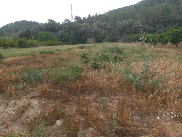 Terreno en venta en Ribera d'Ebre, Catalunya
