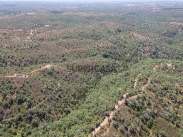 Terreno venda em Santiago Do Cacém, Setúbal