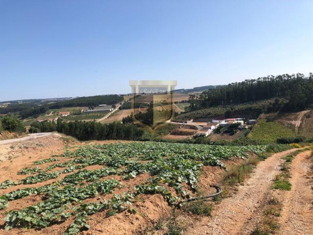 Terreno venda em Lourinhã, Lisboa