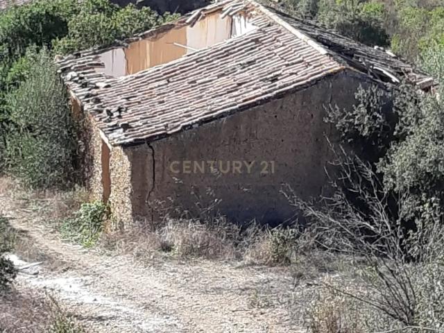 Terreno venda em São Barnabé, Almodôvar
