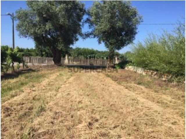 Terreno venda em Anadia, Aveiro