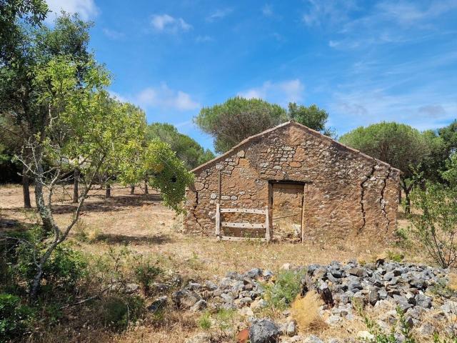 Vivenda venda em Barão de São Miguel, Vila do Bispo