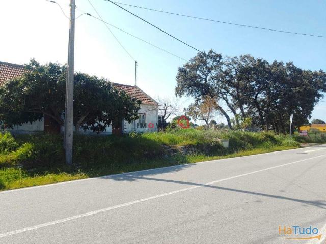 Terreno venda em Santarém