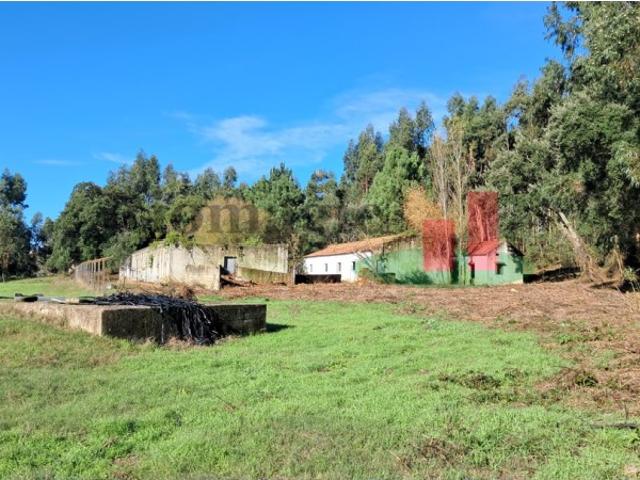 Terreno venda em Asseiceira, Rio Maior