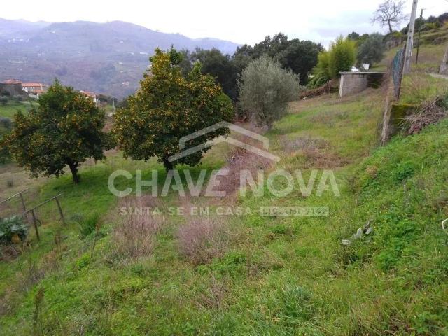 Terreno venda em Baião, Porto