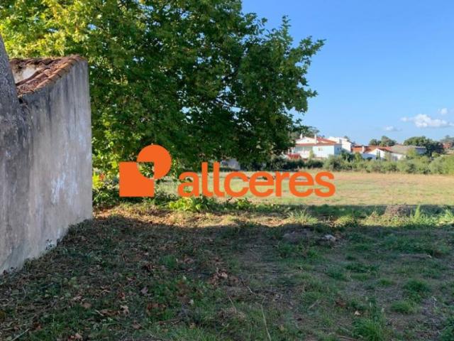 Terreno venda em Benedita, Alcobaça