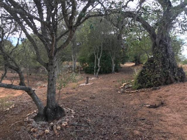 Terreno venda em Patã de Cima, Loulé