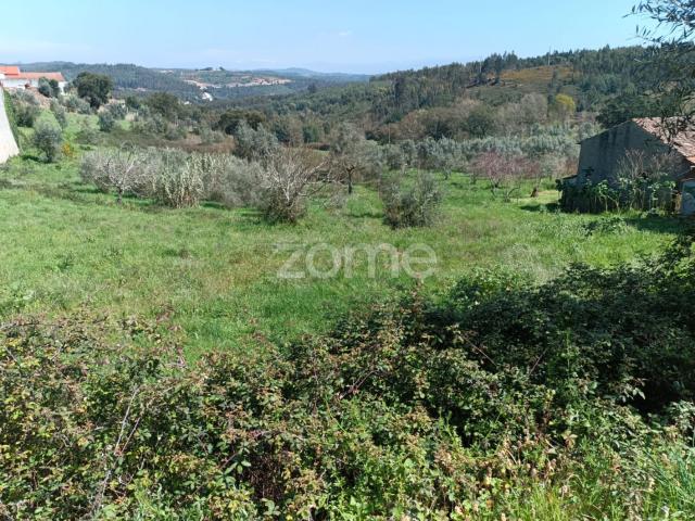 Terreno venda em Vila Nova De Poiares, Coimbra