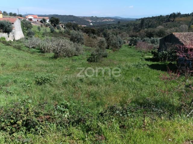 Terreno venda em Vila Nova De Poiares, Coimbra