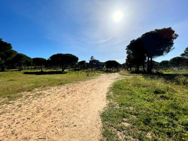 Terreno venda em Albufeira e Olhos de Água, Albufeira