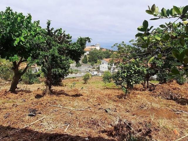 Vivenda venda em Terra do Mendes, Santana