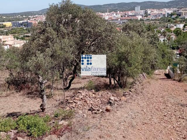 Terreno venda em São Brás De Alportel, Faro