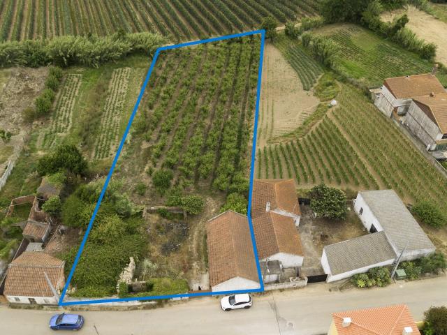 Terreno venda em Barrocalvo, Bombarral