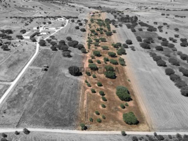 Casa venda em Reguengos De Monsaraz, Évora