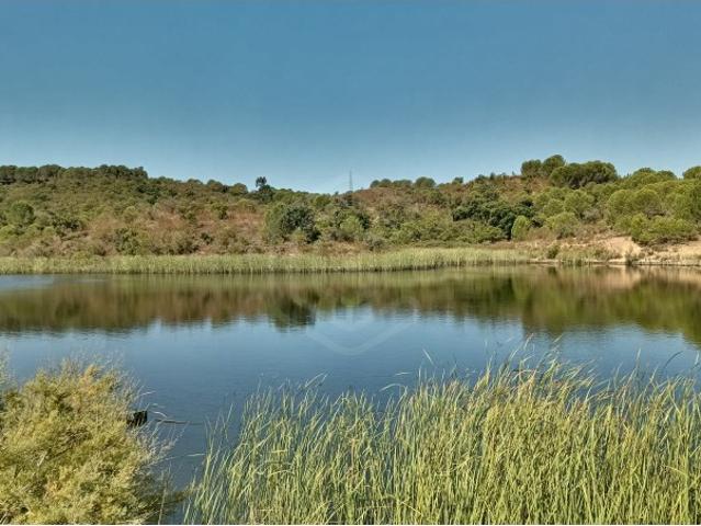 Terreno venda em Silves, Faro