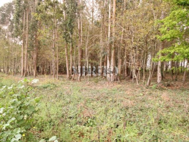 Terreno venda em Vila Do Conde, Porto